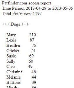 ScreenshotPetStats