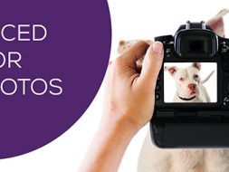 Advanced Photography Tips