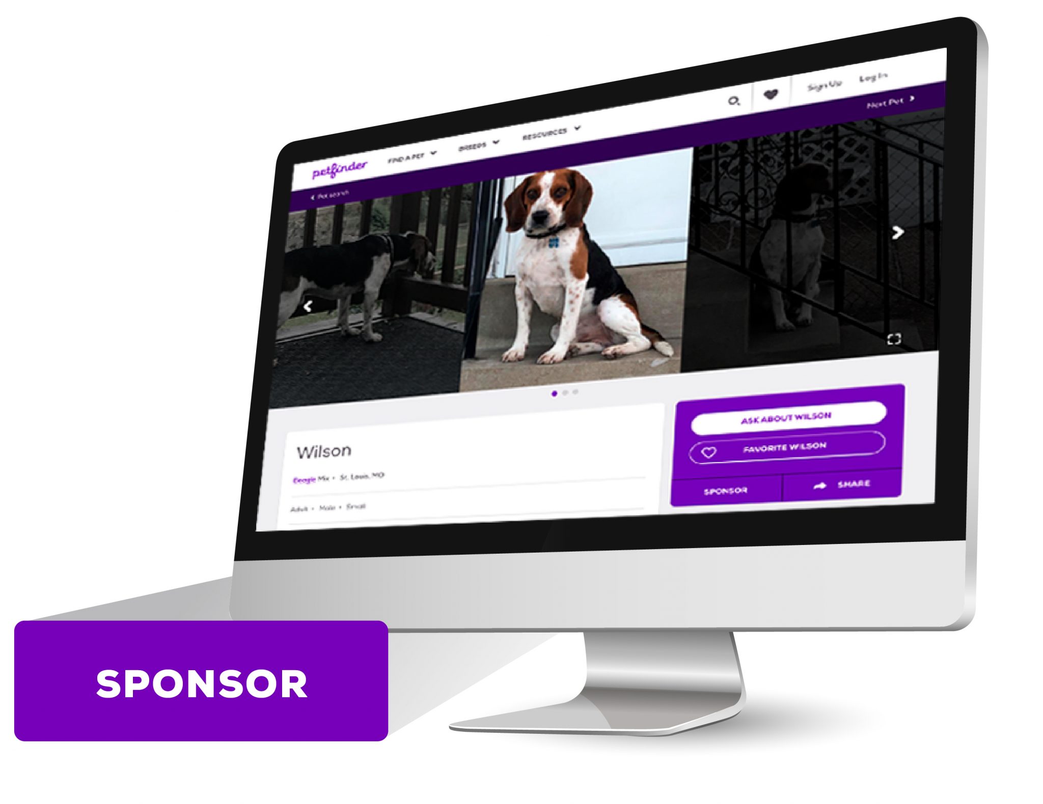 Pet Finder Pro - tc1wbi4